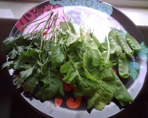 Yummy greens from my garden